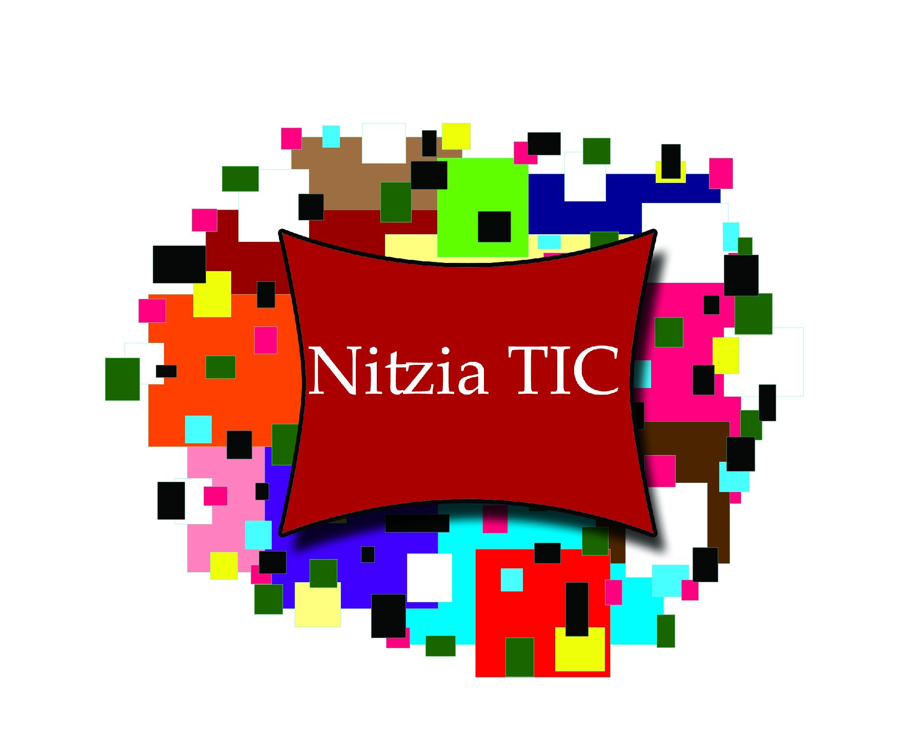 Nitzia TIC